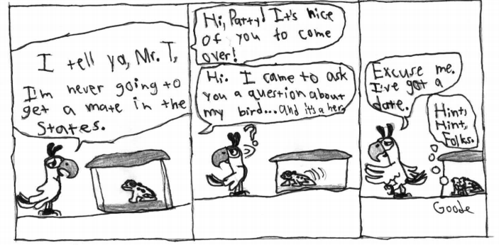 The beginning of how Squawks started a family.