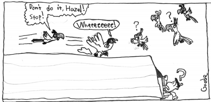 Hazel is a chicken. Chickens don't fly.
And she is jumping off the roof.